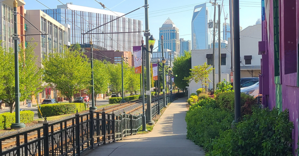 walking down a trail for my summer morning routine